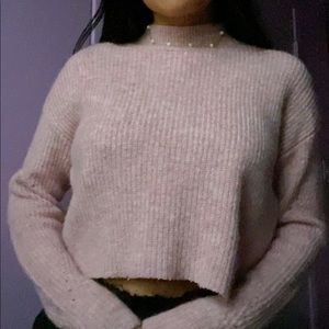 Blush Pink Cropped Turtle Neck